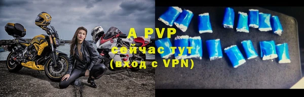 дмт Гусев