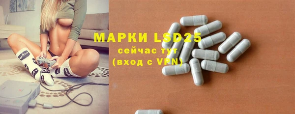 дмт Гусев