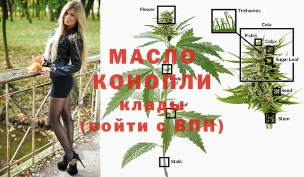 дмт Гусев