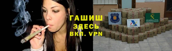 индика Сосновка