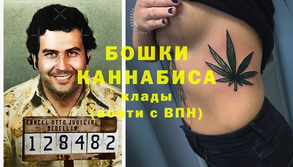 дмт Гусев
