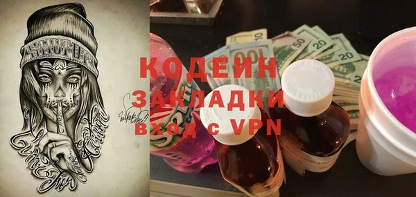 дмт Гусев