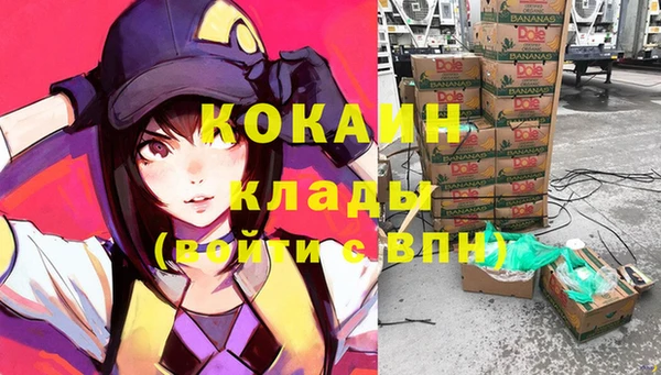 дмт Гусев