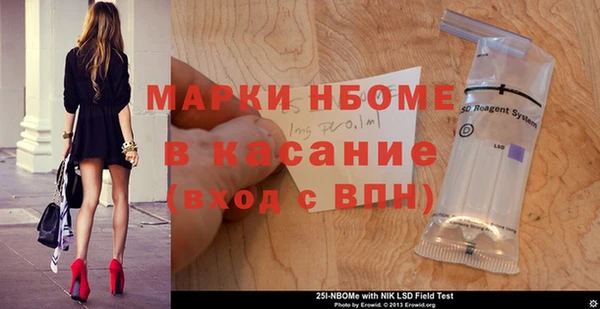 индика Сосновка