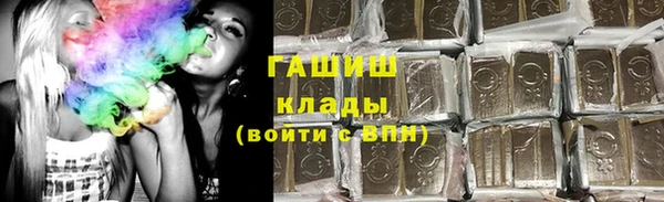 дмт Гусев