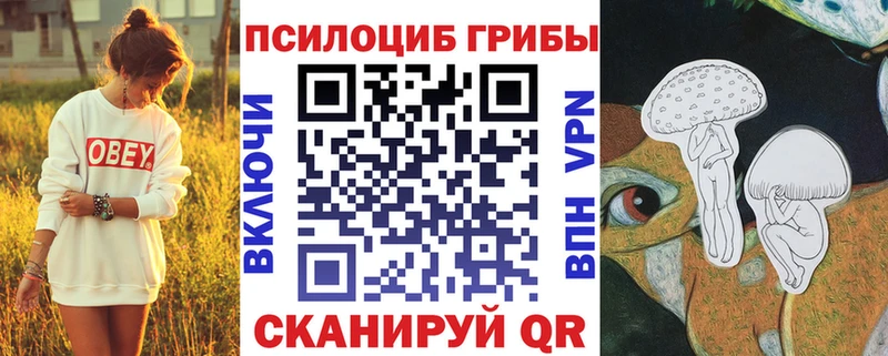 продажа наркотиков  Дудинка  Псилоцибиновые грибы прущие грибы 